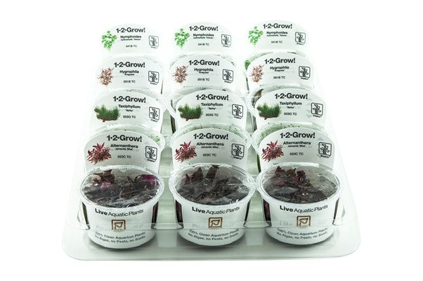 1-2-GROW! Box