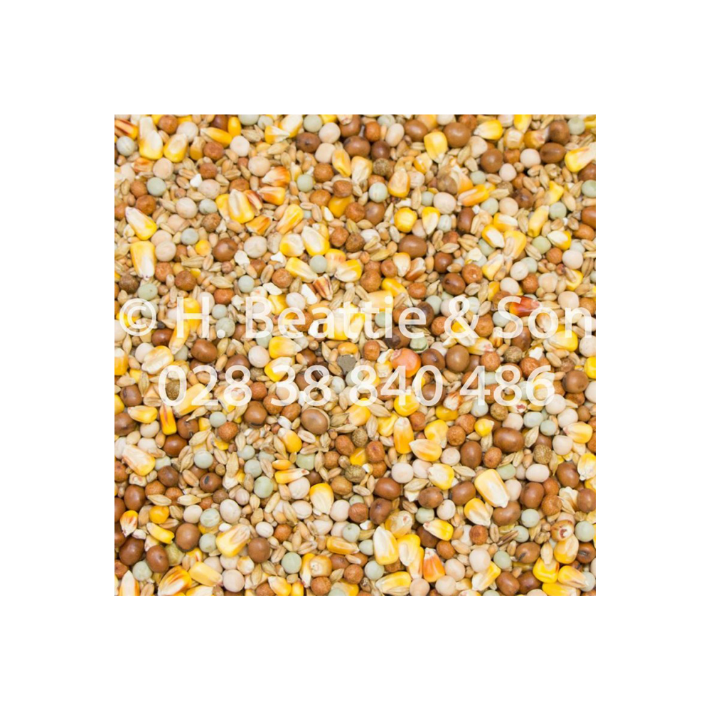 Beatties 4 Seasons 25kg