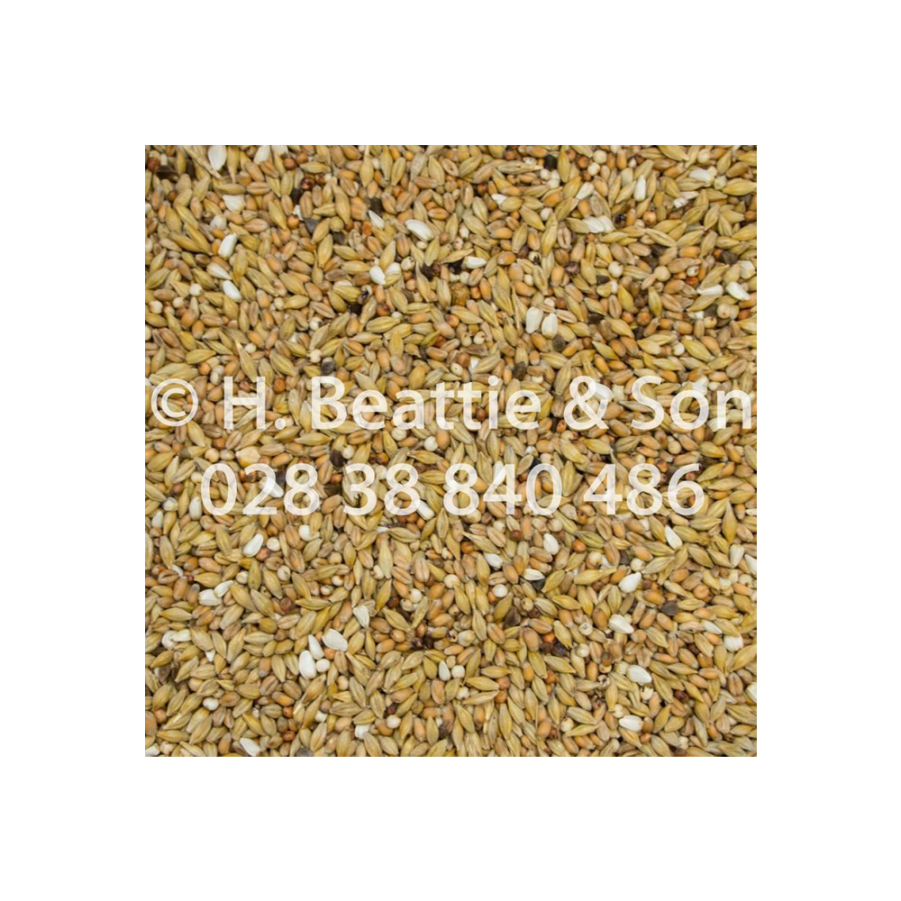 Beatties Depurative 25kg
