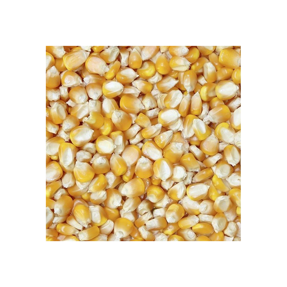 Beatties Dog Tooth Maize Large 20kg
