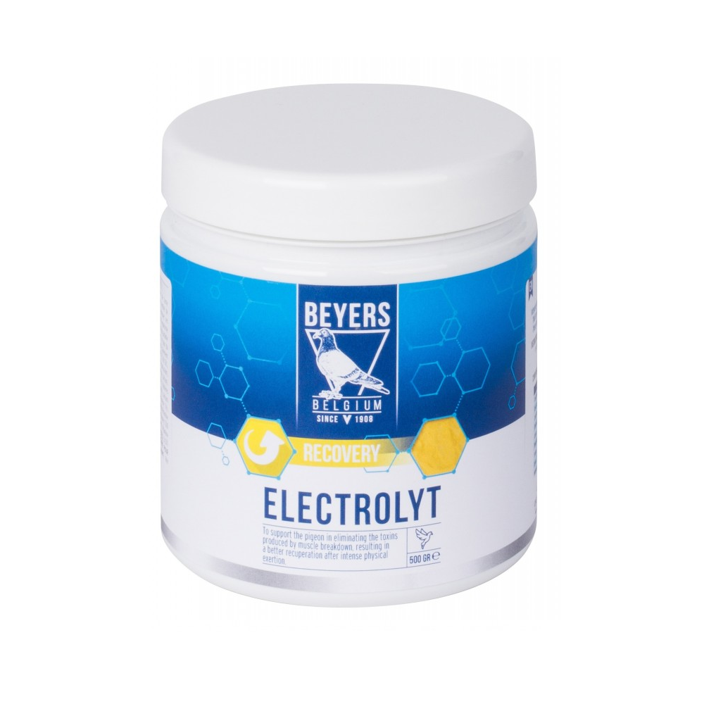Beyers Electrolyt 500g