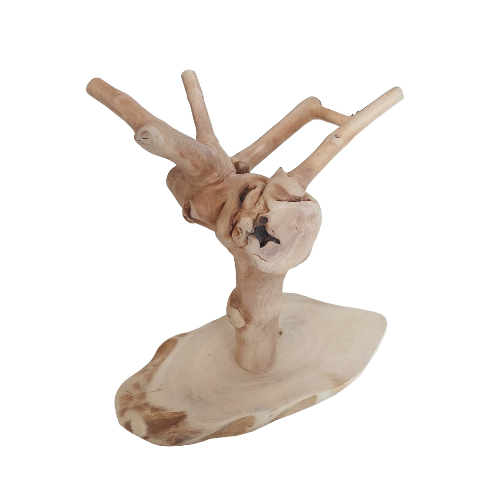 Java Tiny Tree – Seth's Little Zoo