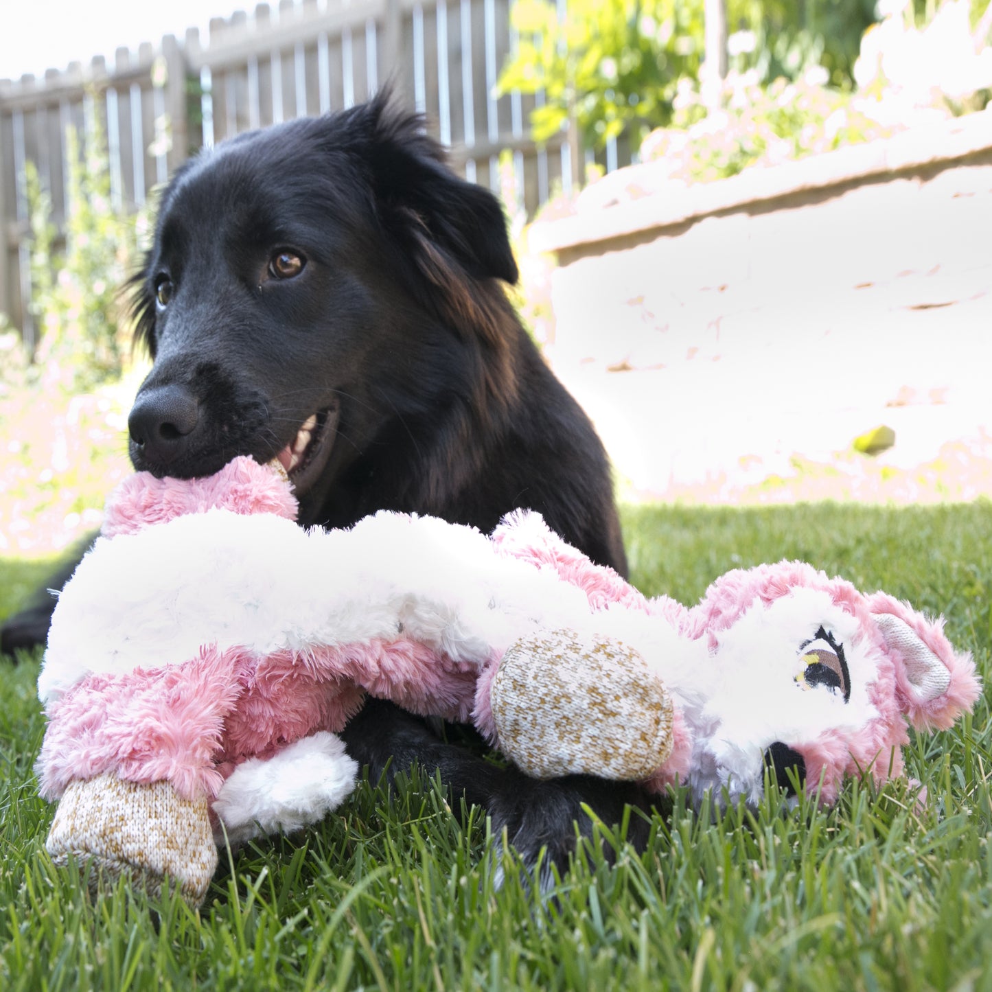 KONG Low Stuff Flopzie Fox M