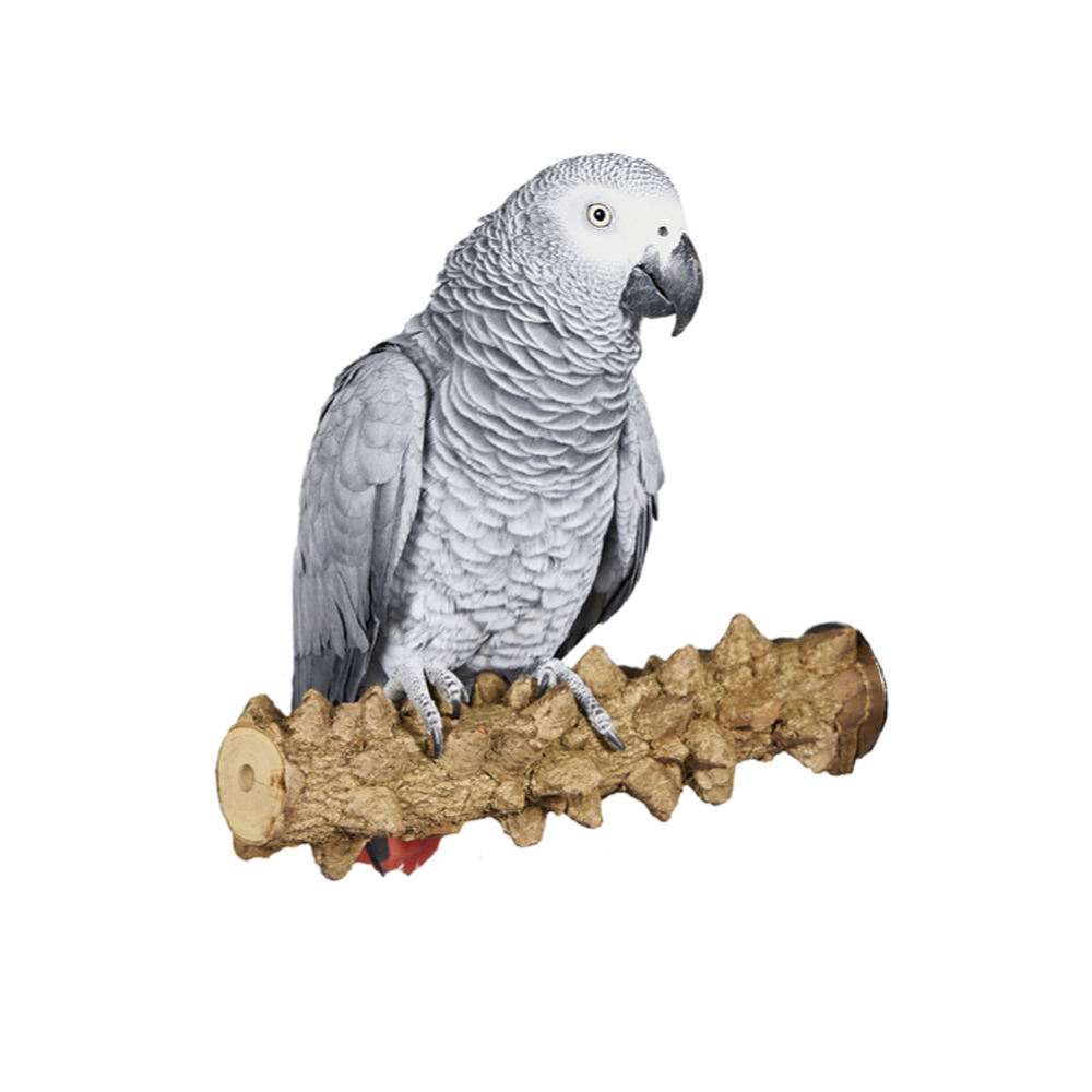 Pepper Branch Perch Large