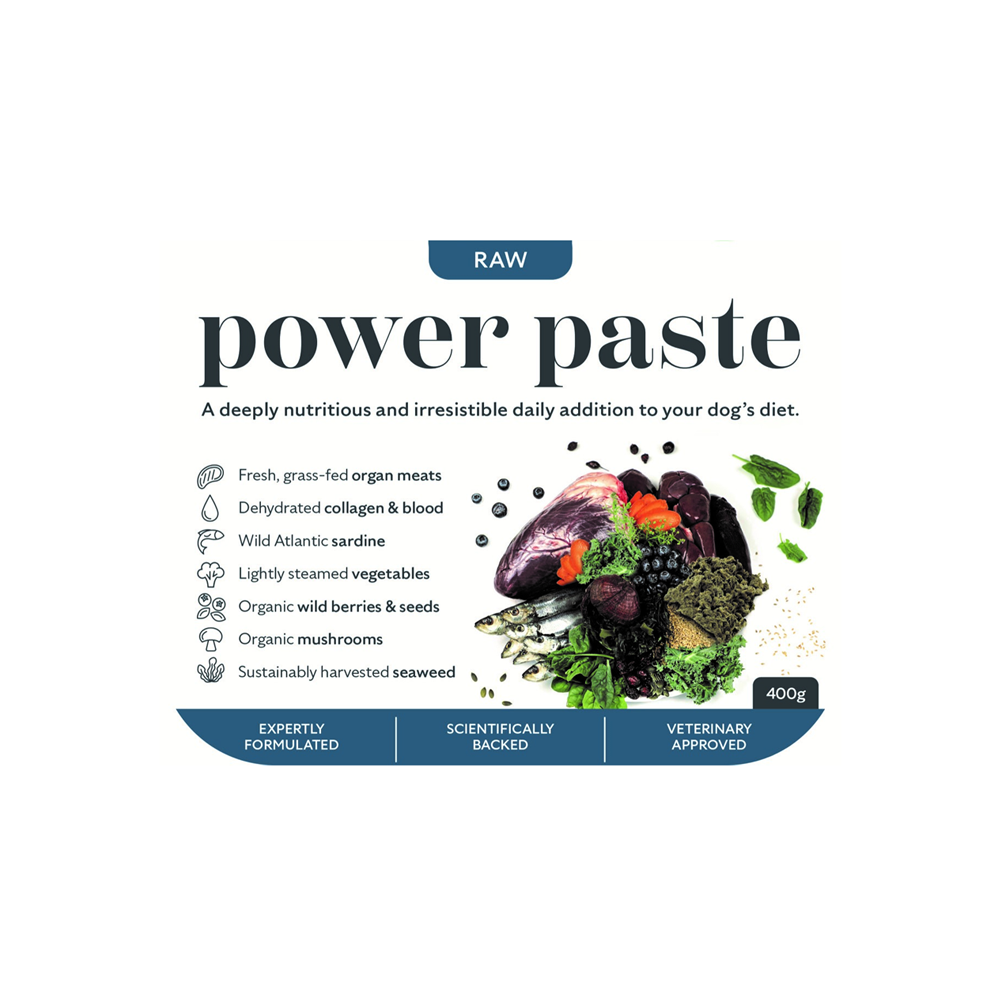 BarkinBISTRO Power Paste Raw 400g