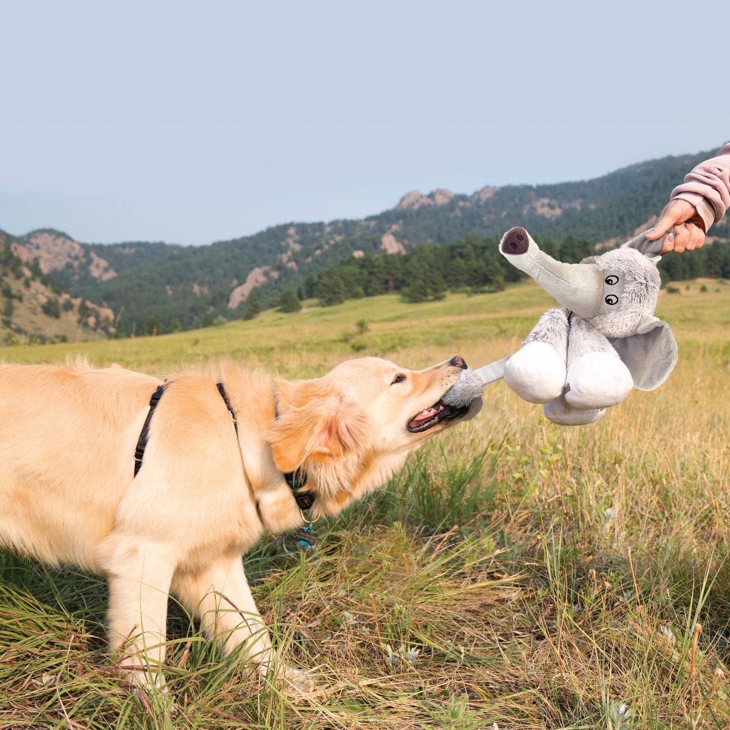 KONG Stretchezz Legz Bear L