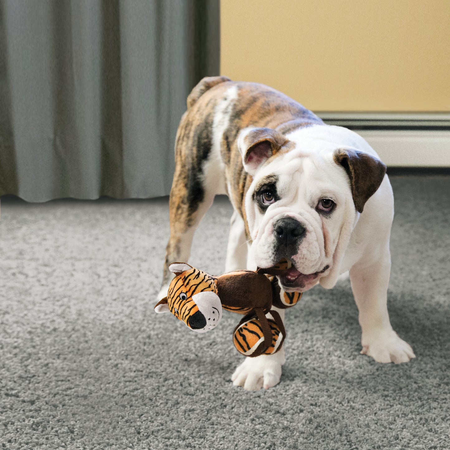 KONG TenniShoes Giraffe L