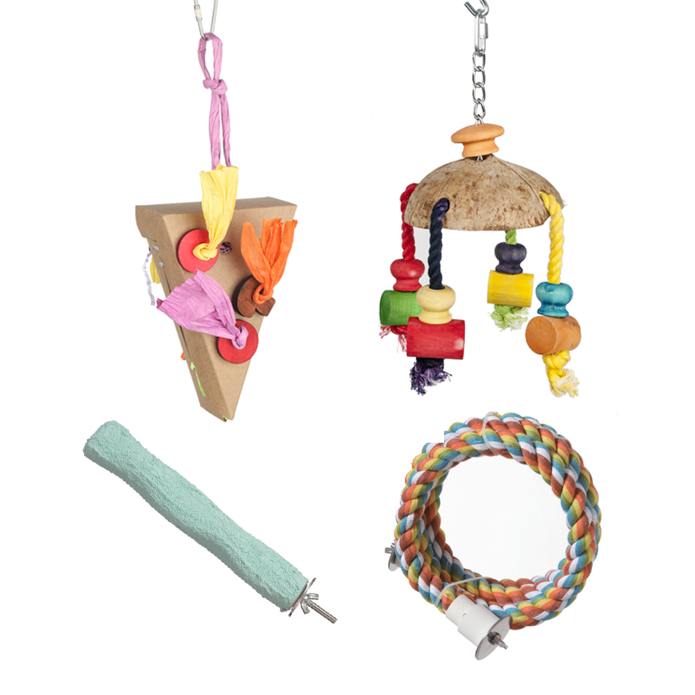 Small Parrot Toy Bundle