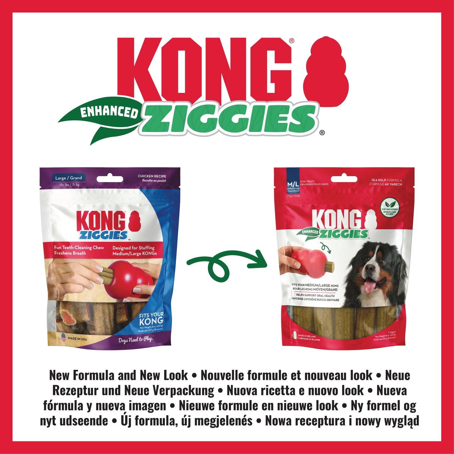 KONG Ziggies Enhanced M 227g