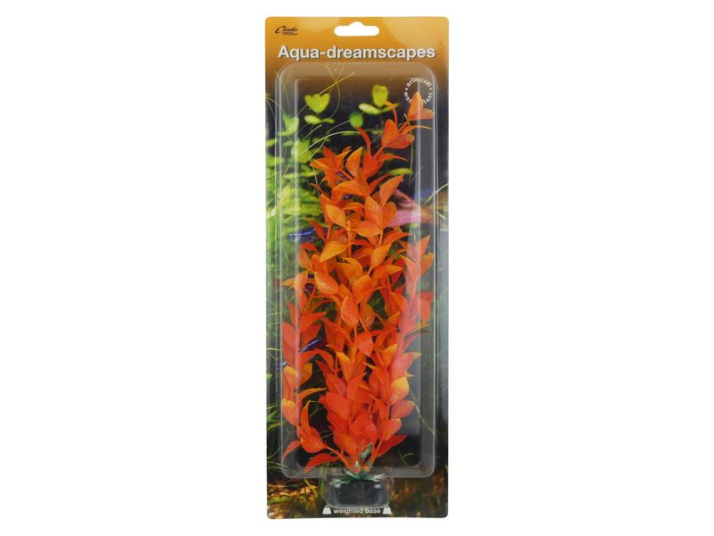 Orange Creeping Primrose Willow 30cm
