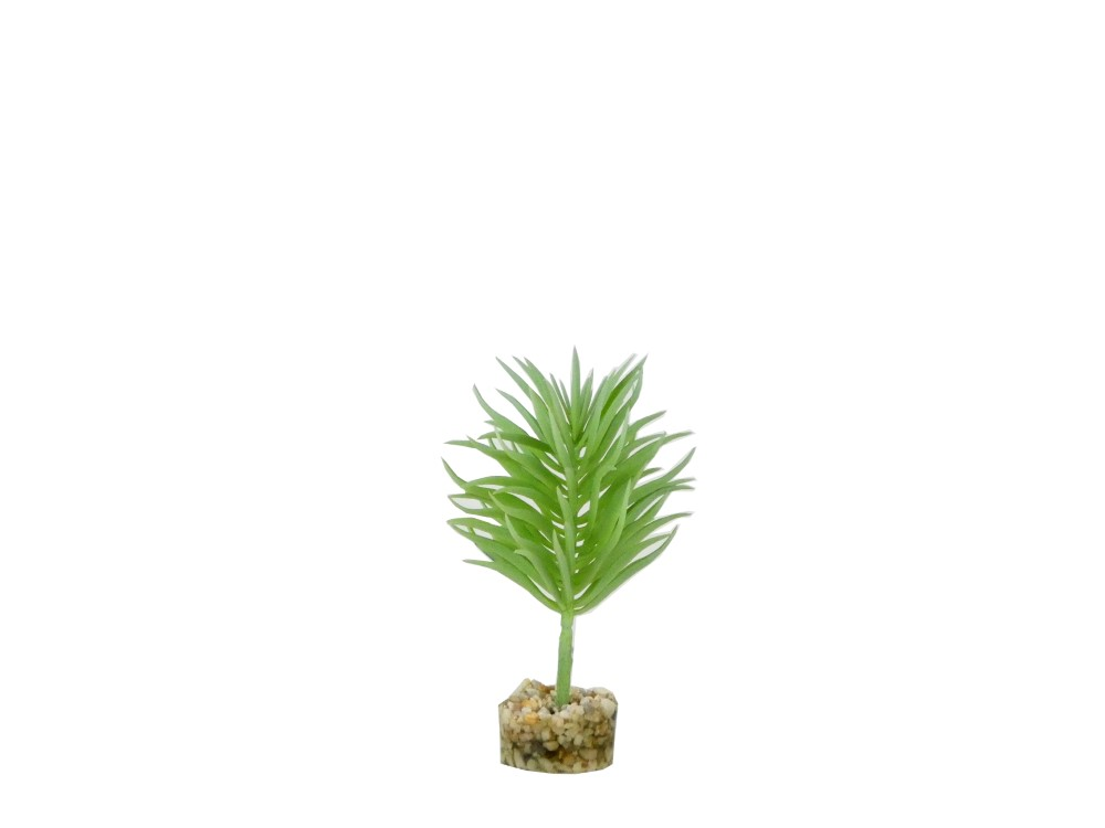 sydeco plastic plant Sydeco Terra Succulent Plant 13cm – Seth's Little Zoo
