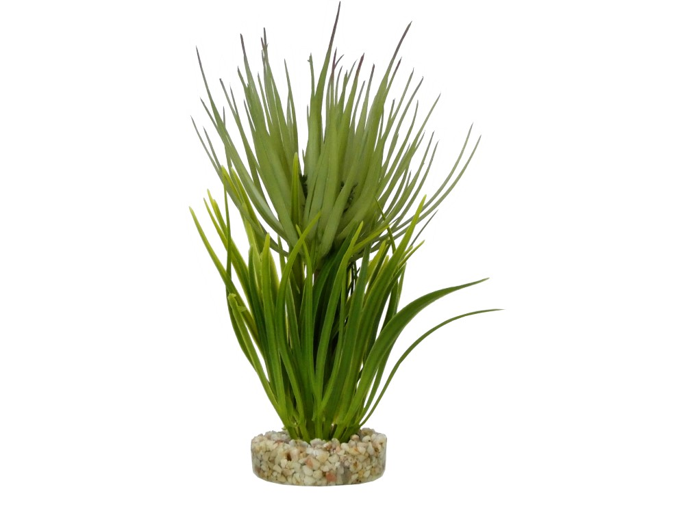 Sydeco Terra Grass Plant 23cm