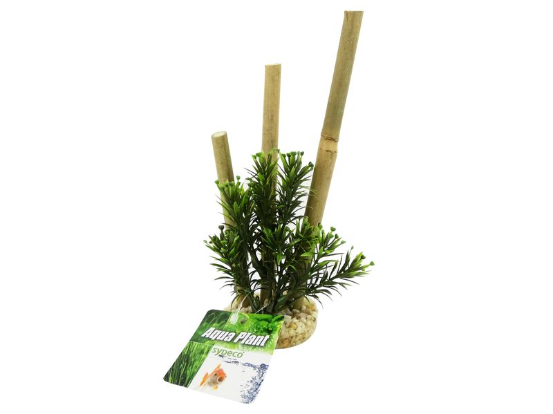 Sydeco Bamboo Forest Plants 20cm