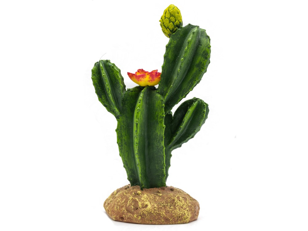 Pro Rep Flowering Cactus Med 16.5x10.5x22.5CM