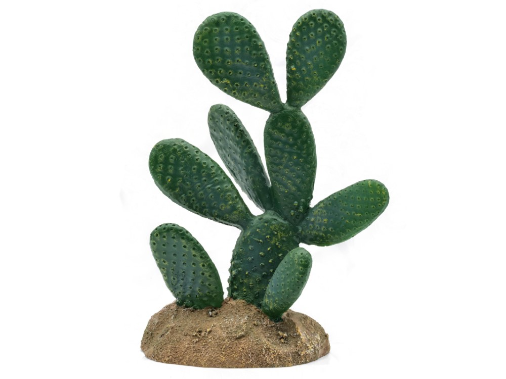 Pro Rep Optunia Cactus 13x9x19.5CM