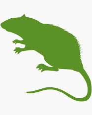 PLT Frozen Rat Pups 4G + 10 Pack