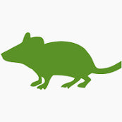 PLT Frozen Mice Small 10G + 10 Pack