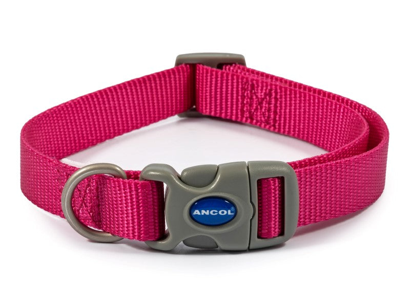 Viva Nylon Adjustable Collar Raspberry S2-5