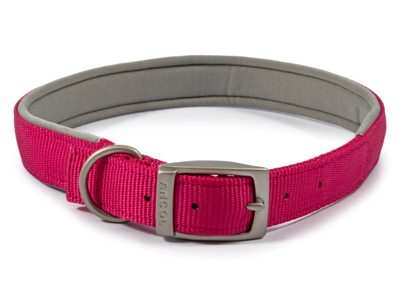 VIVA PADDED NYLON COLLAR RASPBERRY22 "S6