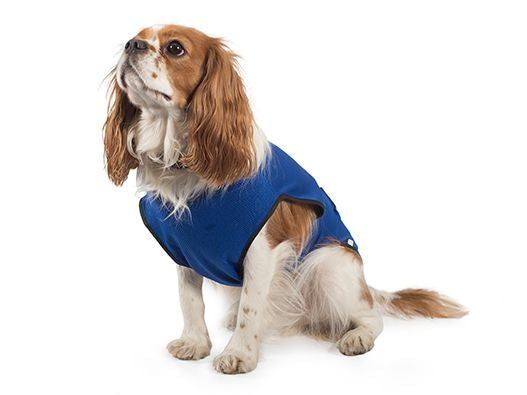 DOG COOLING COAT LARGE 50CM