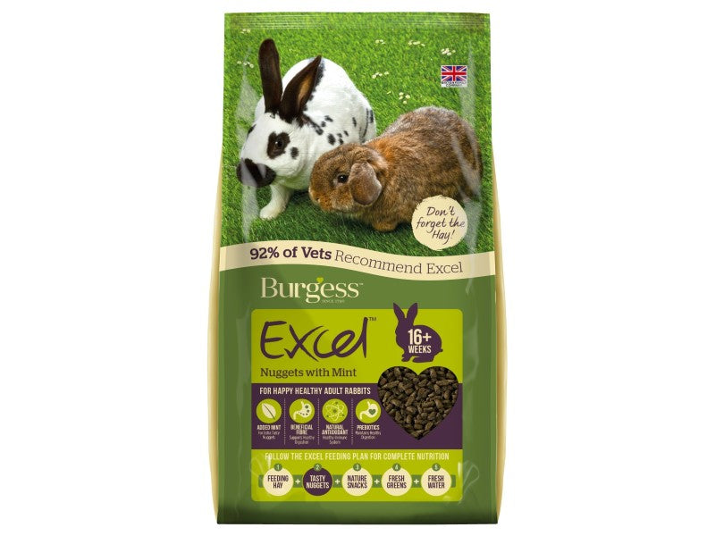 SEE CODE 1470ANET BURGESS EXCEL RABBIT A