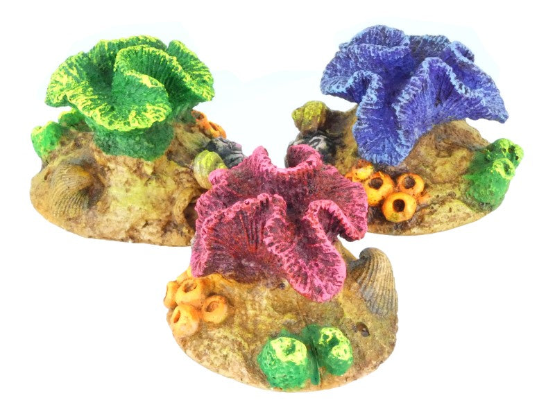 MINI CORAL ASST 2.5"