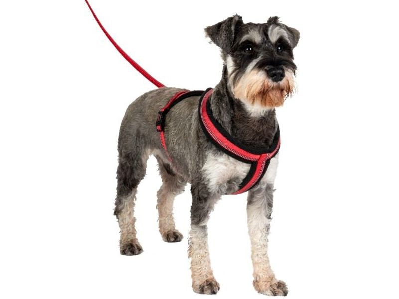 Halti Comfy Harness Red Small
