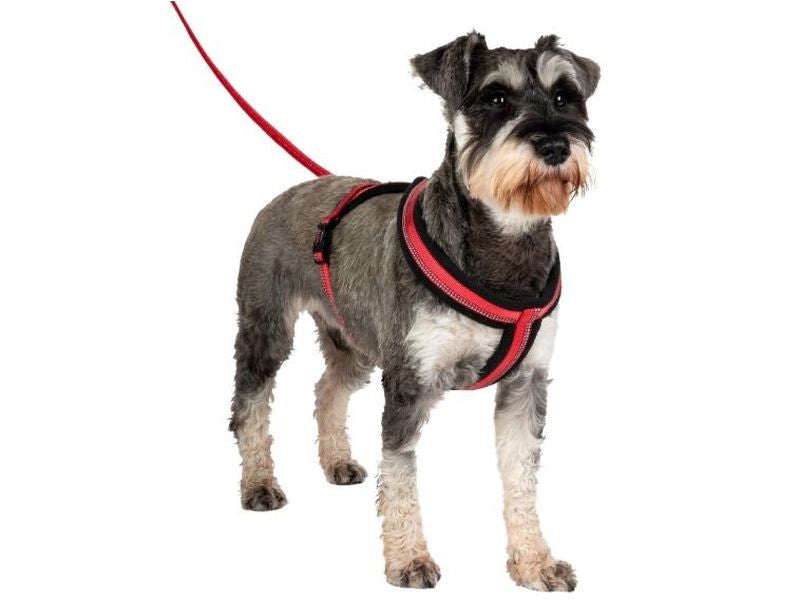 Halti Comfy Harness Red XL