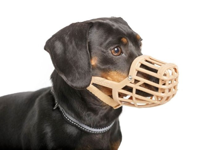 BASKERVILLE ANTI SCAVENGE MUZZLE SIZE 1