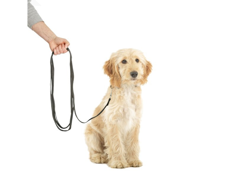 CLIX 10M RECALL TRAINING LINE