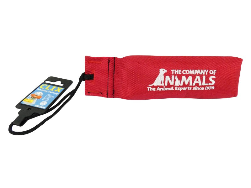 CLIX CANVAS TRAINING DUMMY MEDIUM