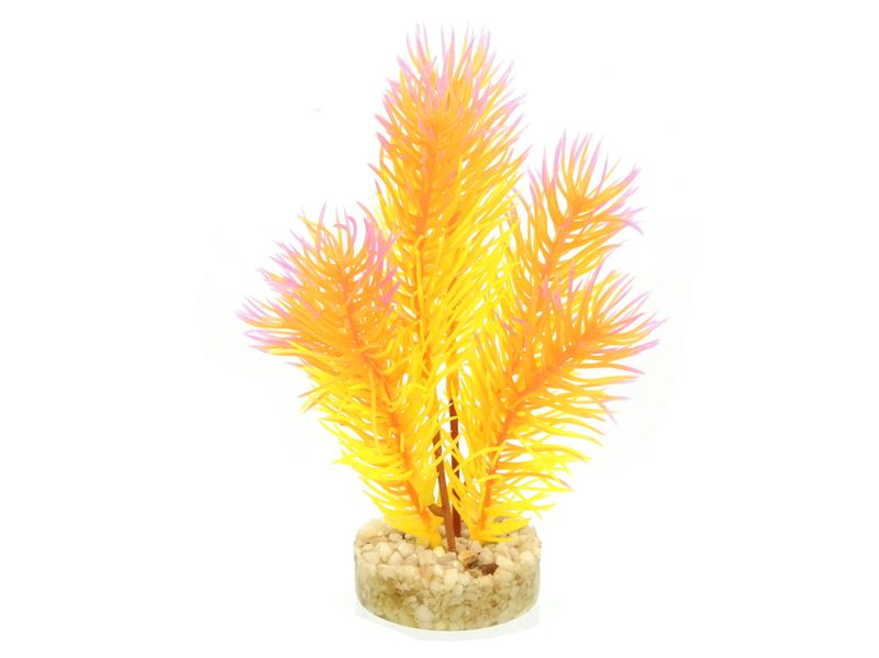 ADS CABOMBA PEARL 14CM