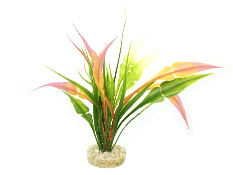 ADS ANUBIAS PEARL 22CM