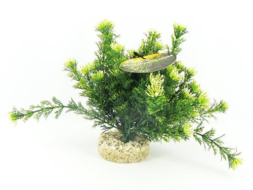 ADS PLANTED COLOUR PEARL 21CM