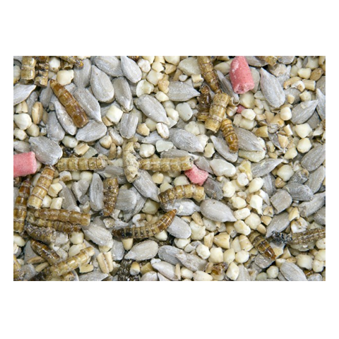 Bamfords Top Flight Fledgling Food 12.75kg