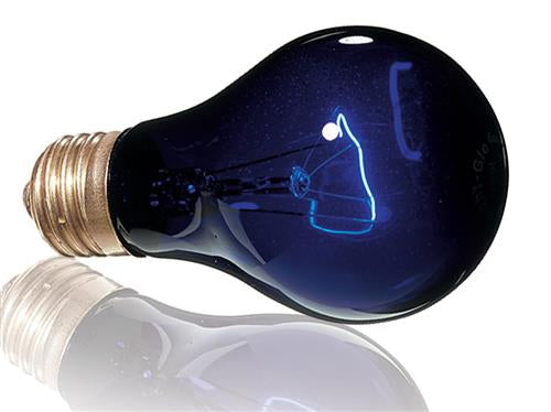 Exo Terra Night Heat Lamp 50w