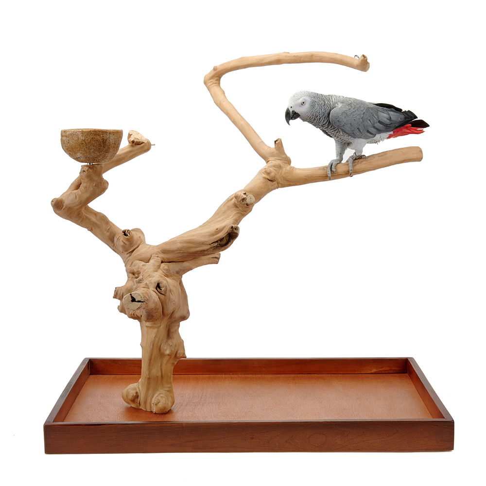 Java Mini Tree Large