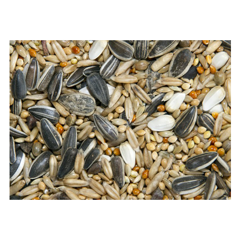Bamfords Top Flight Parakeet & Cockatiel Mix 20kg
