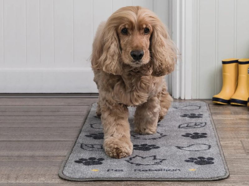 STOP MUDDY PAW COUNTRY BARRIER RUG45X100