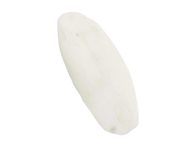 CUTTLEFISH BONE 6"-12" 2.27KG