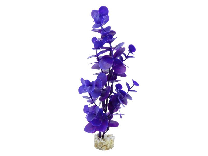 Sydeco Water Eucalyptus 22cm