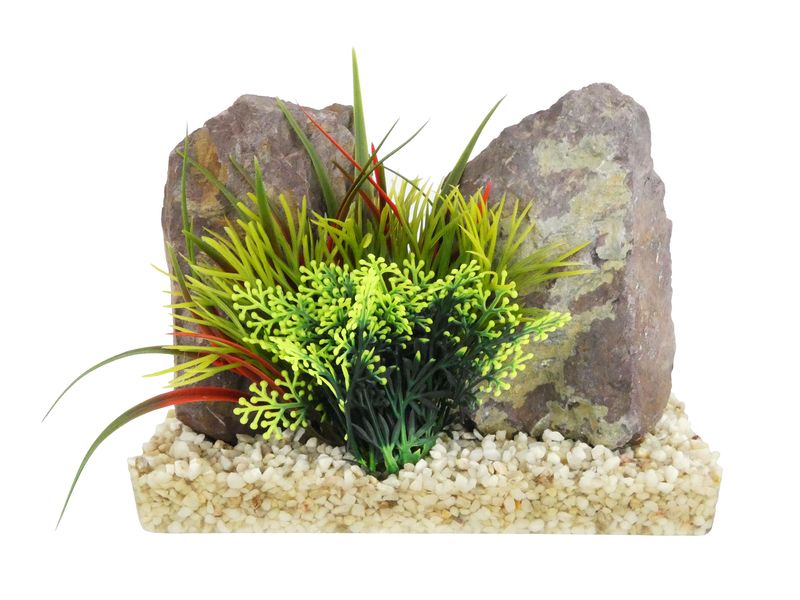 Sydeco Grand Canyon Plant 20cm