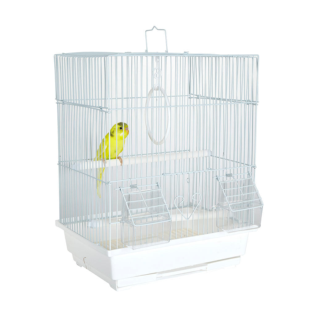 RC Santa Cruz Cage