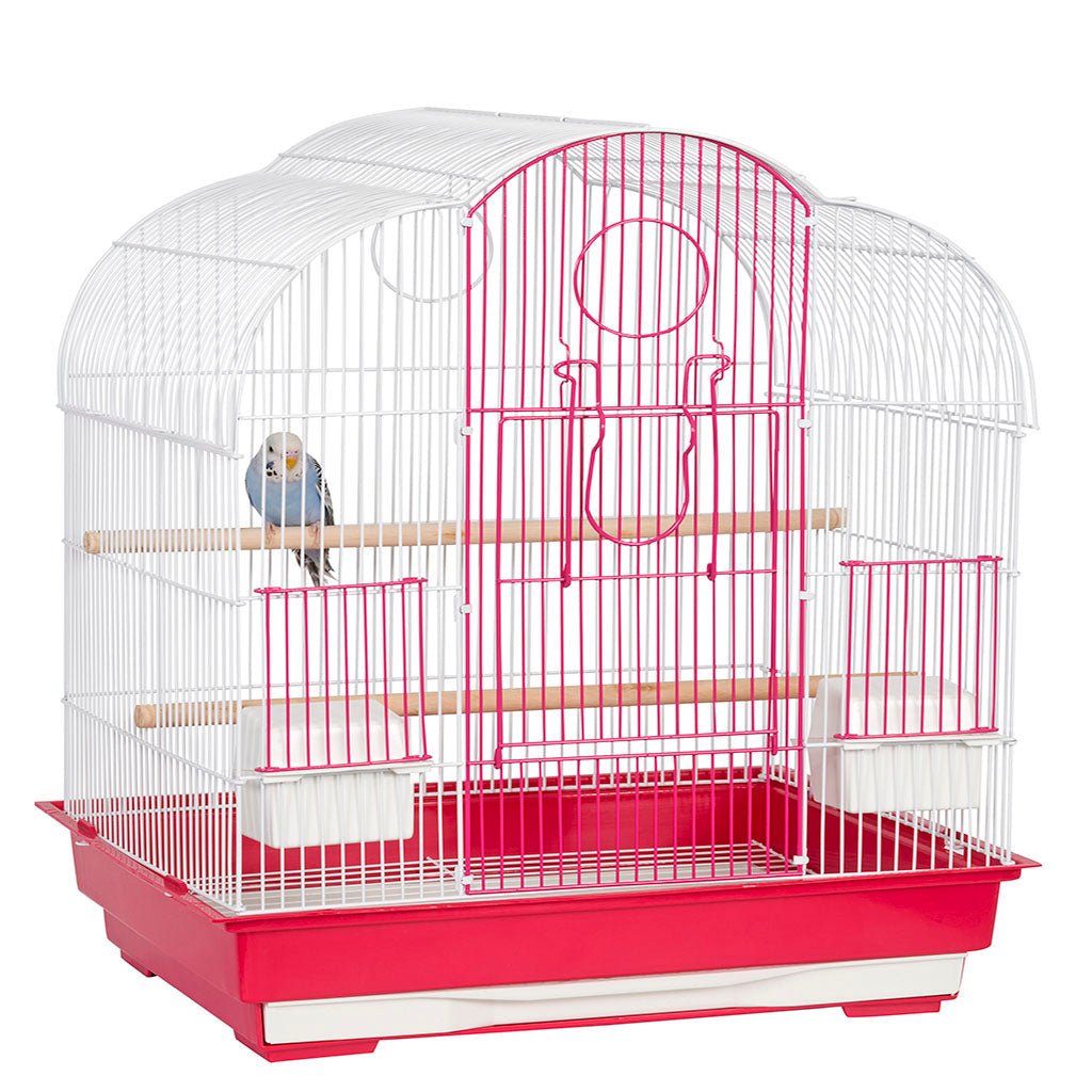 Liberta Virginia Cage