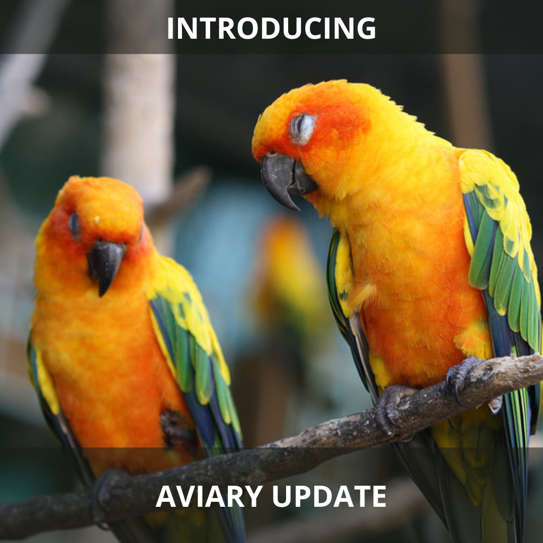AVIARY UPDATE