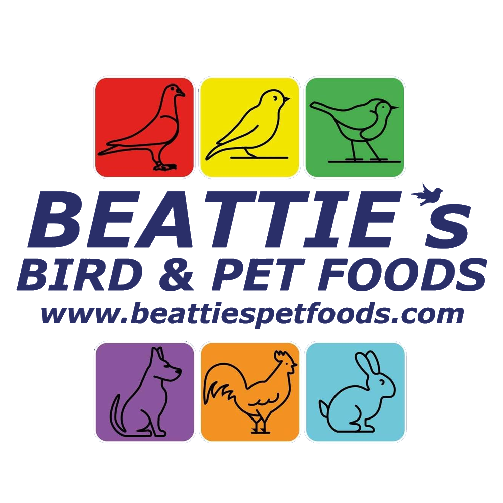 Beatties Canary Food