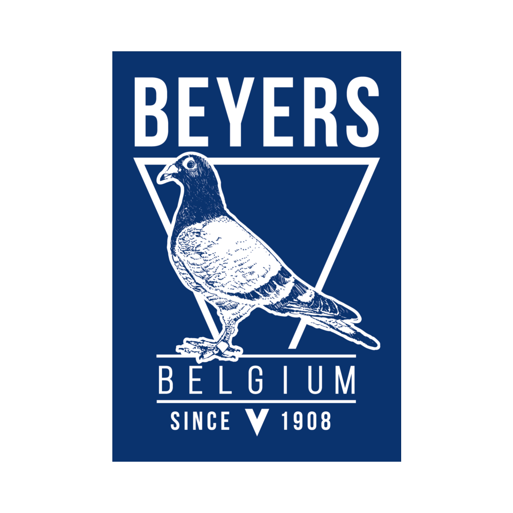 Beyers Pigeon Food