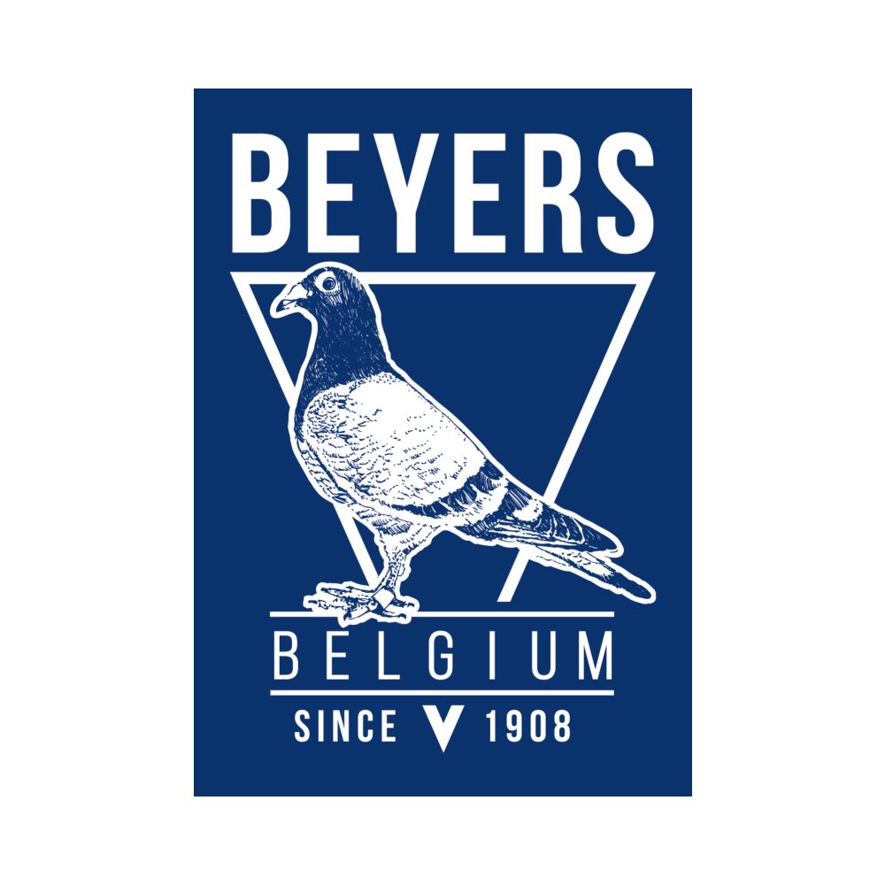 Beyers Pigeon Supplements