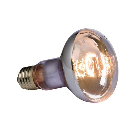 Reptile Bulbs