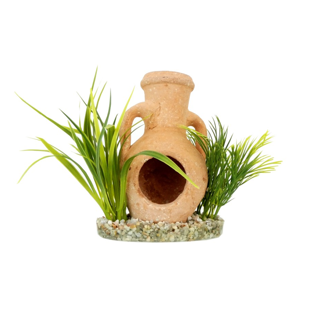Aquatic Decoration